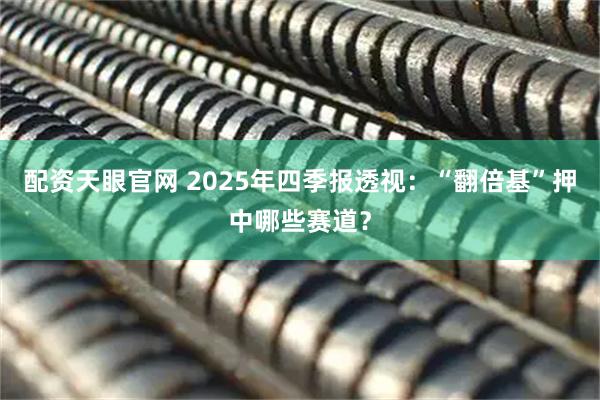 配资天眼官网 2025年四季报透视：“翻倍基”押中哪些赛道？